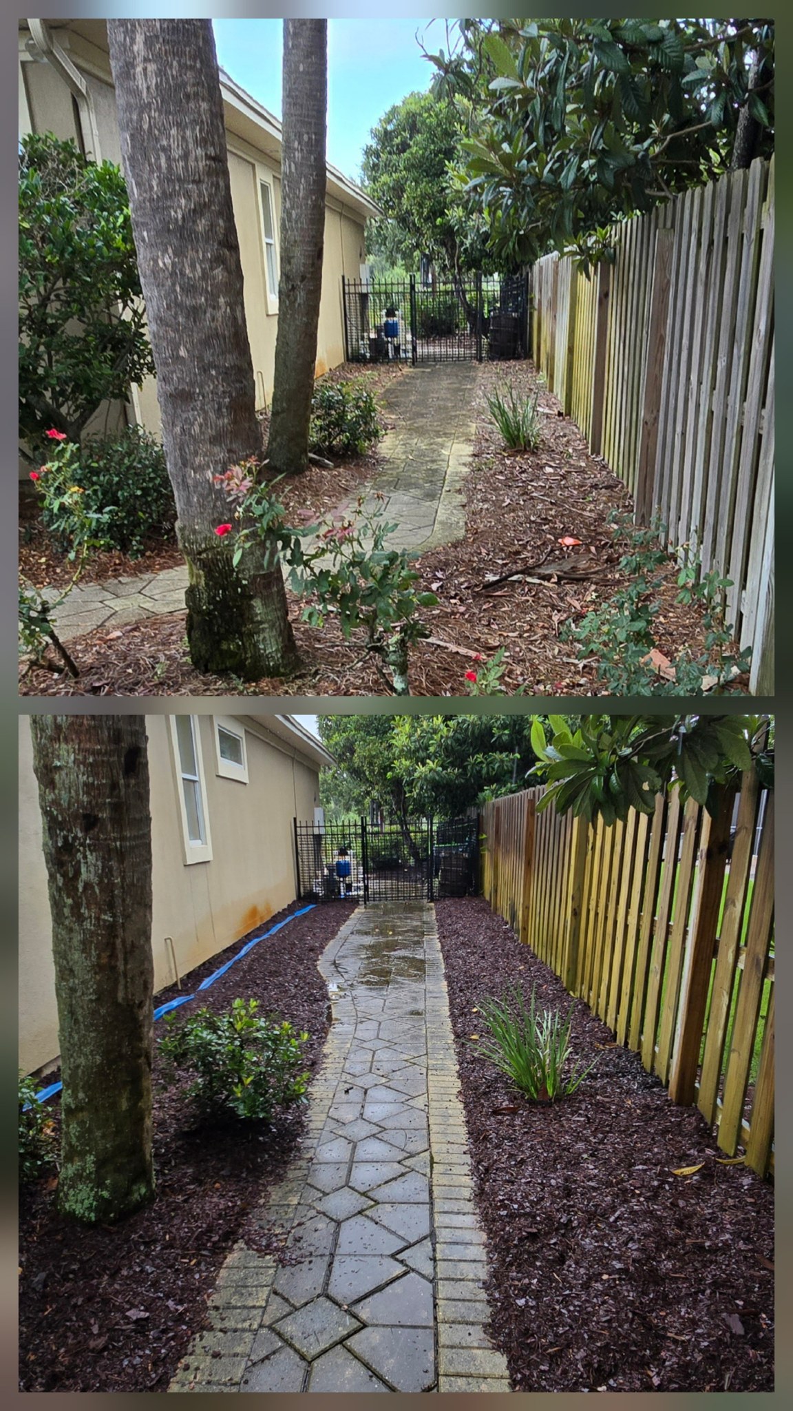Backyard Tree & Flower Bed Refresh